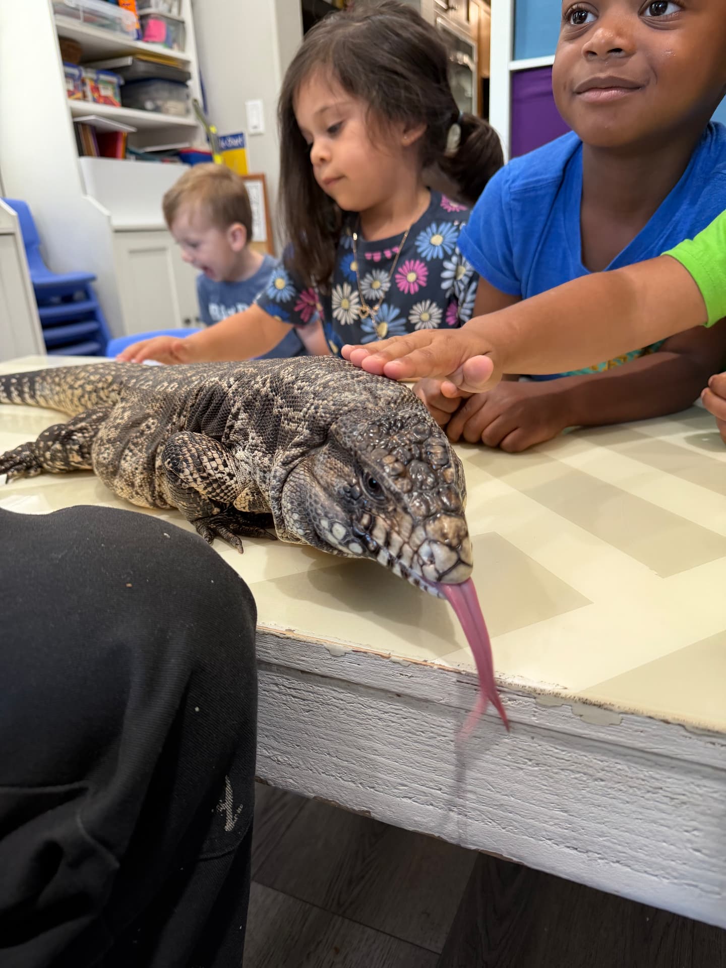 Children gently petting a tegu on a table