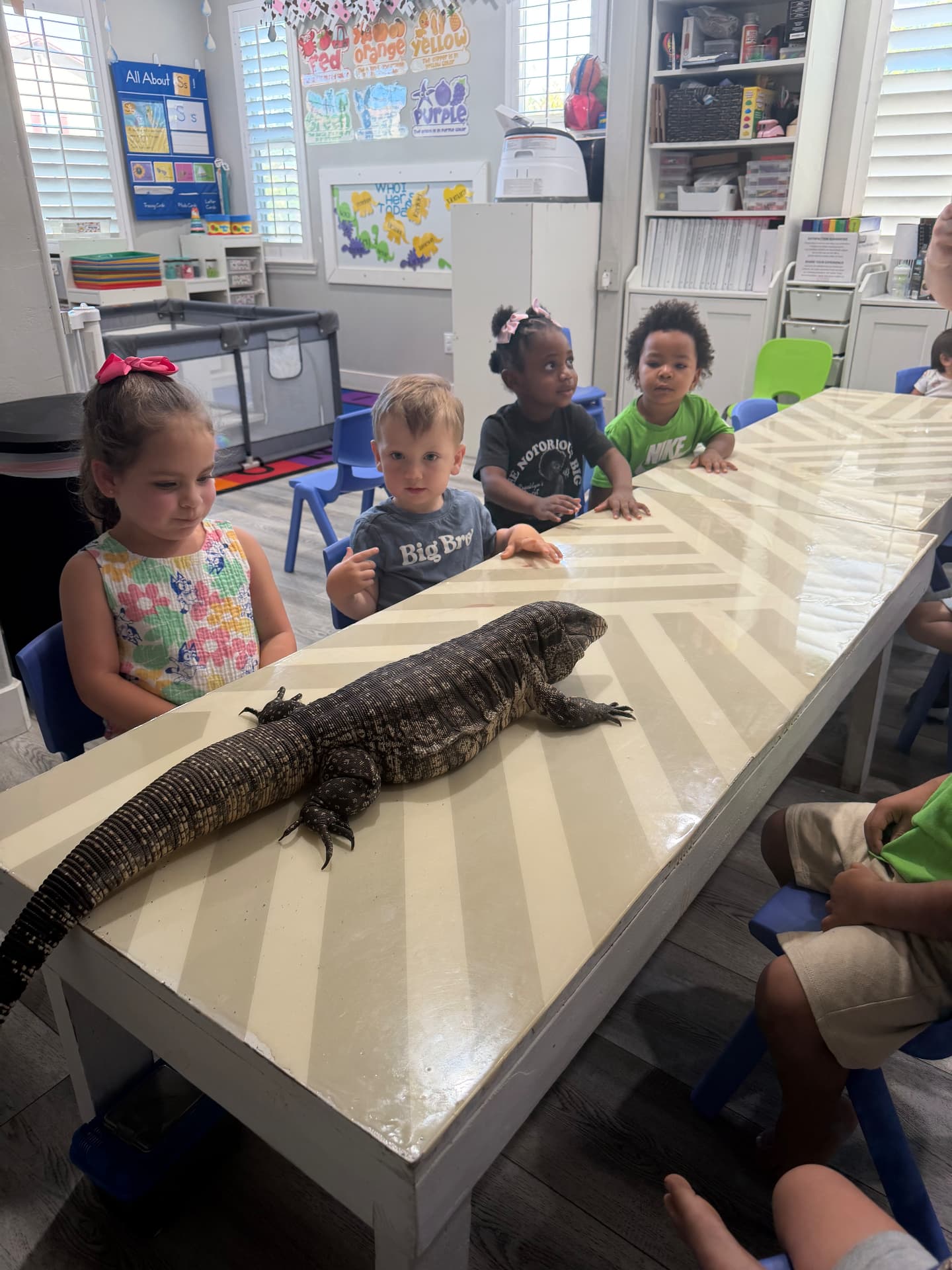 Children gathered around a table with a tegu in a classroom
